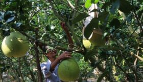 Begin your visa-prepared day with Vietnam’s tranquil ambiance